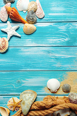 포토 JPG 해외이미지 밧줄 모래 불가사리 사람없음 파란색 조개껍데기 카피스페이스 나무배경 해외202310 해외포토 줄 컬러 백그라운드 조개 극피동물 공백 파일형식