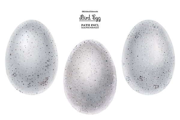 포토 JPG 해외이미지 전통 라이프스타일 행복 음식 컬러 다이어트 일러스트 재료 자연 벽지 부활절 오리 건강 요리 사람없음 빛 주방 계란 식사 치킨 튀김 흰색 신선 황금 맛 아침식사 상품 스케치 먹기 심볼 메뉴 그림 유기농 질감 손그림 노른자 점심식사 고립 단백질 삶기 현실 맛있는 해외202310 해외일러스트 웰빙 기념일 감정 컨셉 모션 조류 미술 생활 알 생태계 닭고기요리 영양소 파일형식