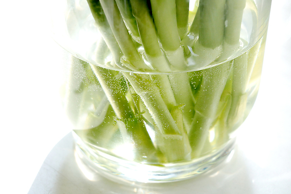 포토 JPG 해외이미지 식물 디자인 계절 꽃잎 꽃 줄기 분홍색 컬러 꽃다발 백그라운드 꽃무늬 자연 유리 탁자 선물 서기 사람없음 장식 초록색 물 여름 뷰티 정원 꽃병 봄 낭만 수확 벚꽃 물방울 신선 투명 개화 우아함 꽃집 제비꽃 유기농 거베라 내추럴 아네모네 스타일 해외202310 해외포토 자연요소 웰빙 가구 컨셉 무늬 농업 모션 재질 상점 생태계 파일형식