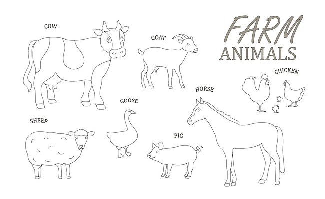 EPS 해외이미지 동물 어린이 음식 컬러 백그라운드 농업 일러스트 조류 염소 오리 육류 돼지고기 세트 농장 치킨 가축 소고기 우유 수확 흰색 양 돼지 소 만화 스케치 오브젝트 그림 황소 복고 거위 칠면조 내추럴 고립 밭일 암탉 벡터 현실 해외202310 해외일러스트 산업 식재료 포유류 유제품 미술 사람 닭 암컷 닭고기요리 파일형식