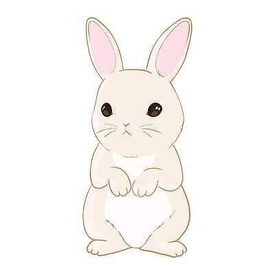 EPS 해외이미지 동물 캐릭터 디자인 꽃 행복 어린이 컬러 백그라운드 패턴 일러스트 포유류 휴가 부활절 사랑 그래픽 장식 컬러풀 뷰티 유행 페인트 봄 흰색 아기 토끼 인사 신용카드 달콤 낙서 인쇄 만화 스케치 그림 엽서 초대 솜털 고립 벡터 해외202310 해외일러스트 일러캐릭터 식물 계절 기념일 감정 무늬 미술 사람 금융 반려동물 예절 맛 편지 파일형식