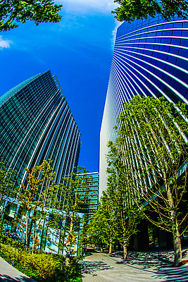 포토 JPG 해외이미지 직업 비즈니스 자연 하늘 부동산 아파트 주택 풍경 사람없음 야외 건물 초록색 여름 도시풍경 사무실 고층빌딩 도시 어안 카피스페이스 해외202310 해외포토 건축물 계절 컬러 빌딩 공백 재산 생태계 파일형식