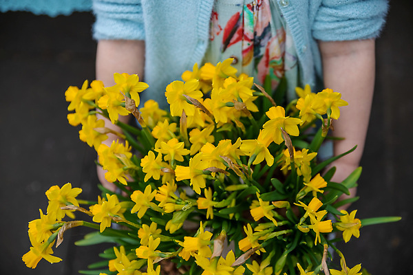 포토 JPG 해외이미지 식물 손 드레스 여자 꽃 행복 얼굴 어린이 꽃다발 꽃무늬 가족 자연 엄마 부활절 사랑 미소 사람없음 여름 뷰티 농장 노란색 환경 꽃병 봄 아기 잡기 생일 선택 냄비 작음 자르기 다발 유기농 수선화 옛날 터키석 해외202310 해외포토 웰빙 옷 계절 기념일 감정 컬러 컨셉 무늬 농업 관계 모션 표정 사람 신체부위 솥 크기 보석 생태계 파일형식