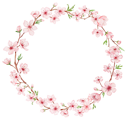 포토 JPG 해외이미지 무료이미지 분홍색 일러스트 프레임 사람없음 벚꽃 원형 해외202310 해외일러스트 도형 꽃 컬러 파일형식 무료콘텐츠