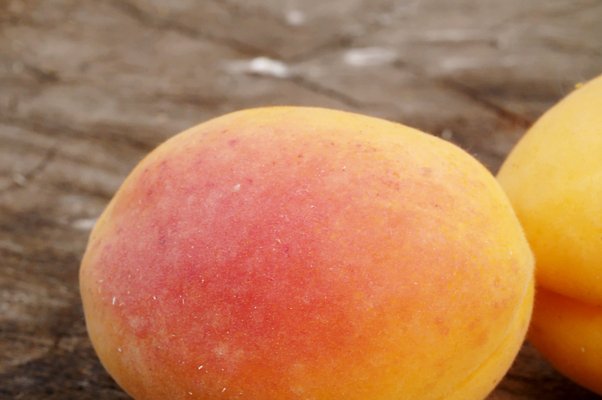 포토 JPG 해외이미지 열매 음식 백그라운드 자연 디저트 건강 사람없음 목재 빨간색 여름 뷰티 수확 신선 닫기 달콤 맛 먹기 묘사 유기농 비타민 내추럴 살구 숙성 채식주의자 비건 맛있는 해외202310 해외포토 나무 식물 웰빙 계절 컬러 컨셉 농업 과일 재료 모션 생태계 채식 영양소 파일형식