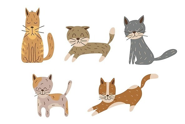 EPS 해외이미지 동물 캐릭터 손 디자인 행복 감정 컬러 백그라운드 컨셉 일러스트 포유류 놀이 미술 앉기 그래픽 반려동물 세트 고양이 회색 흰색 표현 잠 신용카드 그룹 플랫 낙서 만화 스케치 수집 배고픔 그림 코믹 고립 기르기 엘리먼트 유래 벡터 해외202310 해외일러스트 일러캐릭터 모션 문화예술 신체부위 금융 돌봄 파일형식