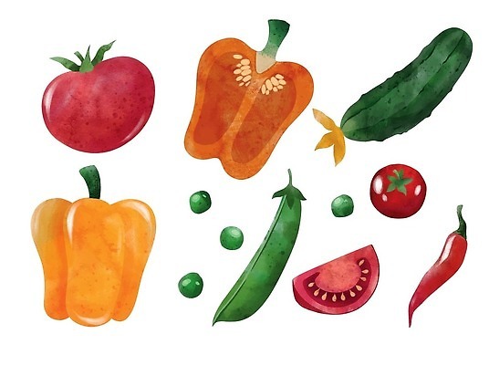 EPS 해외이미지 조각 토마토 일러스트 고추 단면 오이 파프리카 사람없음 유기농 완두콩 손그림 비건 해외202310 해외일러스트 웰빙 채소 콩 채식주의자 파일형식 벡터