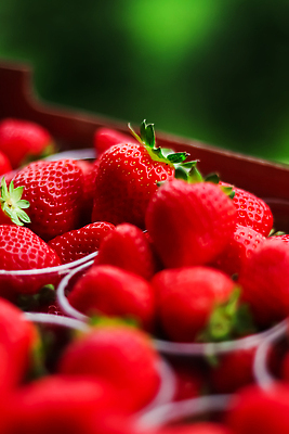 포토 JPG 해외이미지 과일 포장 딸기 사람없음 빨간색 무더기 플라스틱통 해외202310 해외포토 컬러 통 플라스틱 파일형식