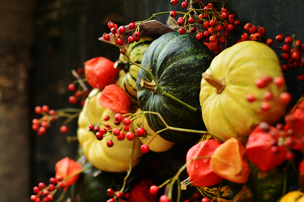 포토 JPG 해외이미지 식물 전통 열매 꽃 유럽 오렌지 호박 주택 골격 사람없음 야외 목재 장식 빨간색 문 정원 검은색 화환 할로윈 프랑스 수확 가을 시골 축하 심볼 상록수 추수감사절 스쿼시 이웃 단계 10월 구성 핸드메이드 해외202310 해외포토 나무 계절 나라 기독교 스포츠 컬러 컨셉 농업 채소 과일 재료 건물 구기 날짜 파일형식