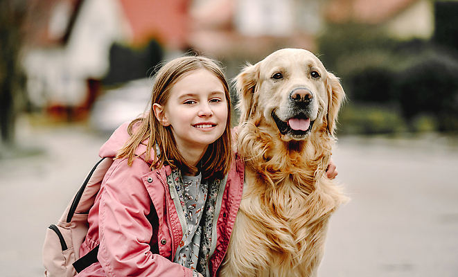 포토 JPG 해외이미지 동물 백인 라이프스타일 응시 여학생 여자 행복 어린이 놀이 거리 함께함 사랑 한명 사람 야외 빛 반려동물 햇빛 뷰티 봄 우정 산책 황금 개 리트리버 모피 송곳니 순혈 해외202310 해외포토 서양인 1 학생 시선 계절 감정 컨셉 포유류 휴식 생활 친구 태양 치아 파일형식
