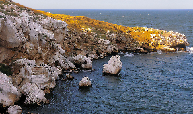 포토 JPG 해외이미지 건축물 바다 여행 자연 하늘 파노라마 풍경 사람없음 물 항구 절벽 바위 만 폭풍 내추럴 단절 블러 석회암 스텝 지질학 무너짐 해외202310 해외포토 자연요소 교육 건축 교통시설 모션 날씨 촬영기법 암석 돌_바위 생태계 파일형식