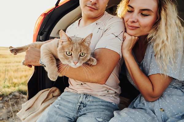 포토 JPG 해외이미지 백인 커플 여자 남자 도로 여행 2 가족 관계 자동차 남편 함께함 성인 야외 두명 반려동물 고양이 일몰 아내 저녁 해외202310 해외포토 서양인 동물 길 육상교통 컨셉 포유류 교통시설 사람 노을 야간 파일형식