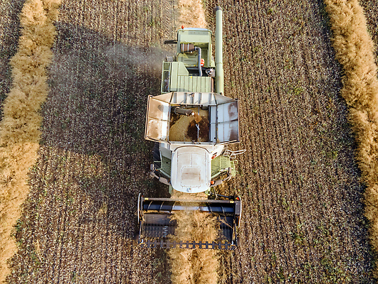 포토 JPG 해외이미지 직업 지구 밭 농업 옥수수 씨앗 사람없음 농장 농경지 농사 기계 목장 모임 수확 성장 칼날 재산 제조 농부 혼합 결합 낟알 땅 시리얼 밀 유채 알맹이 트랙터 로딩 밭일 조감도 공급 세련 귀리 해외202310 해외포토 식물 꽃 산업 음식 곡류 금융 농기계 특수차량 파일형식