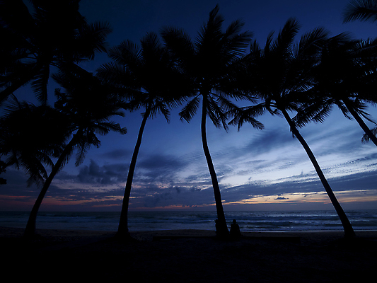 포토 JPG 해외이미지 나무 실루엣 아시아 바다 섬 여행 백그라운드 오렌지 자연 벽지 하늘 추상 휴가 휴식 손바닥 사랑 한명 풍경 해변 야외 빨간색 물 여름 햇빛 태양 뷰티 일출 침묵 황혼 일몰 새벽 꿈 황금 야간 저녁 하와이 코코넛 내추럴 이국적 파라다이스 해외202310 해외포토 자연요소 식물 1 손 계절 감정 나라 컬러 컨셉 무늬 과일 촬영기법 사람 노을 미국 소리 생태계 파일형식