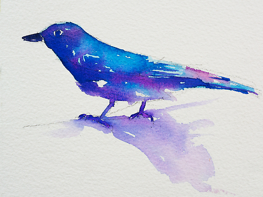 포토 JPG 해외이미지 동물 남자 야생동물 컬러 백그라운드 일러스트 자연 조류 그림자 미술 사람없음 초록색 파란색 컬러풀 뷰티 귀여움 보라색 흰색 나뭇가지 숲 작음 깃털 그림 부리 내추럴 고립 동물상 이국적 해외202310 해외일러스트 나무 컨셉 문화예술 사람 조형물 크기 생태계 파일형식