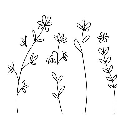 EPS 해외이미지 식물 꽃잎 꽃 선 줄기 잎 꽃무늬 일러스트 자연 추상 휴가 선물 미술 여름 세트 봄 낭만 들꽃 벚꽃 축하 생일 낙서 심플 엽서 윤곽 손그림 고립 벡터 해외202310 해외일러스트 계절 기념일 컨셉 무늬 문화예술 편지 생태계 파일형식