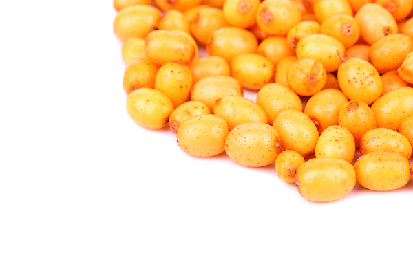 포토 JPG 해외이미지 식물 계절 열매 음식 컬러 백그라운드 오렌지 과일 재료 자연 건강 사람없음 농작물 약 노란색 가을 흰색 신선 그룹 작음 먹기 허브 오브젝트 상쾌 유기농 날것 비타민 숙성 해외202310 해외포토 웰빙 감정 농업 의학 모션 크기 생태계 영양소 파일형식