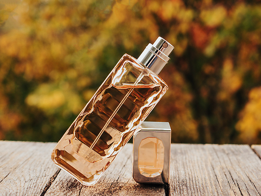 포토 JPG 해외이미지 무료이미지 사람없음 화장품 향수 해외202310 해외포토 뷰티 파일형식