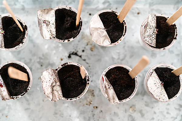 포토 JPG 해외이미지 실내 사람없음 환경 흙 원예 나무막대 해외202310 해외포토 취미 내부 막대 파일형식