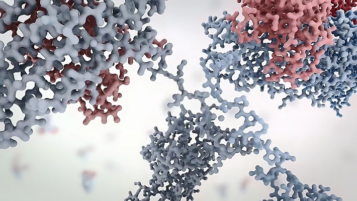 포토 JPG 해외이미지 과학 신체 해부 미래 건강 병원 현미경 사람없음 컴퓨터 약 3D 스크린 모니터 시험 실험실 바이러스 어플리케이션 질병 DNA 사이버 분석 미생물 염색체 암 외과 박테리아 단백질 소프트웨어 스캔 인터페이스 종양 프로그램 홀로그램 더스트파티클 해외202310 해외포토 교육 컨셉 의학 생물 실험기구 실험 전자제품 생명공학 디지털합성 영양소 파일형식