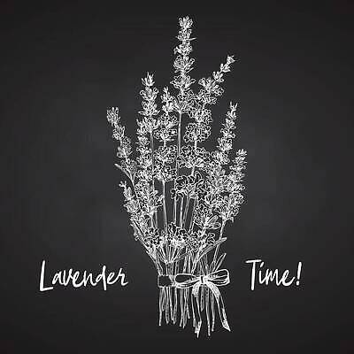 EPS 해외이미지 식물 디자인 꽃 선 꽃다발 백그라운드 잎 꽃무늬 일러스트 자연 건강 선물 장식 세트 라벨 검은색 칠판 어둠 화장품 프랑스 수확 흰색 신선 차 다발 수집 허브 향수 활 분필 손그림 향 테라피 라벤더 고립 엘리먼트 프로방스 벡터 해외202310 해외일러스트 유럽 음료 컬러 무늬 농업 프레임 뷰티 초크 생태계 파일형식