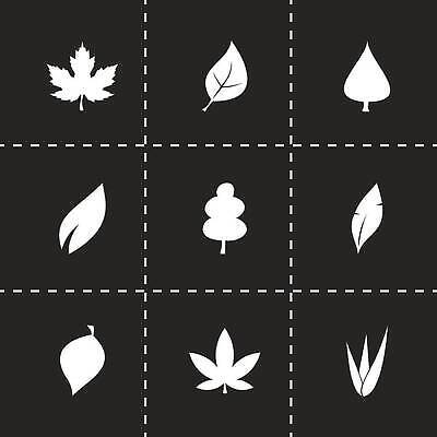 EPS 해외이미지 모양 식물 디자인 백그라운드 컨셉 단풍 잎 일러스트 자연 초록색 세트 환경 성장 흰색 신선 수집 심볼 사인 유기농 내추럴 고립 생태학 엘리먼트 벡터 해외202310 해외일러스트 웰빙 교육 컬러 생태계 파일형식