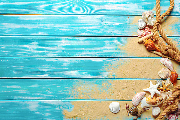 포토 JPG 해외이미지 밧줄 모래 불가사리 사람없음 파란색 조개껍데기 카피스페이스 나무배경 해외202310 해외포토 줄 컬러 백그라운드 조개 극피동물 공백 파일형식