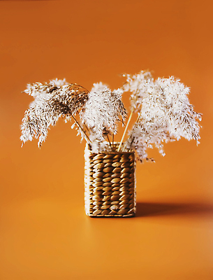 포토 JPG 해외이미지 나무 식물 꽃 화분 화초 백그라운드 잎 꽃무늬 자연 주택 건조 실내 갈대 사람없음 내부 장식 초록색 여름 뷰티 정원 꽃병 기계 성장 큼 관목 원예 내추럴 떠남 바이오 심기 특별함 해외202310 해외포토 계절 컬러 컨셉 무늬 모션 취미 건물 크기 생태계 파일형식