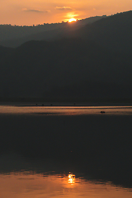 포토 JPG 해외이미지 나무 구름 실루엣 컬러 여행 백그라운드 오렌지 태국 자연 하늘 아침 산 풍경 사람없음 야외 빨간색 여름 빛 햇빛 태양 뷰티 노란색 일출 환경 황혼 일몰 새벽 안개 정상 저녁 숲 언덕 장면 내추럴 수평선 해외202310 해외포토 주간 자연요소 식물 계절 아시아 과일 날씨 촬영기법 노을 야간 생태계 파일형식