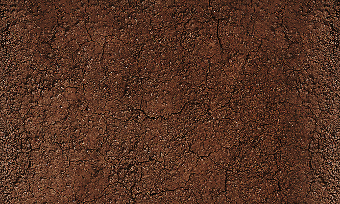 포토 JPG 해외이미지 식물 지구 모래 백그라운드 패턴 밭 농업 자연 표면 추상 건조 사람없음 가로 농장 갈색 환경 정원 흙 젖음 사막 바위 신선 거친 닫기 보호 땅 천 묘사 유기농 원예 질감 뿌리 먼지 점토 지역 진흙 가뭄 내추럴 그런지 땅바닥 심기 세련 해외202310 해외포토 웰빙 산업 컬러 컨셉 무늬 모션 날씨 바닥 취미 돌_바위 직물 생태계 파일형식
