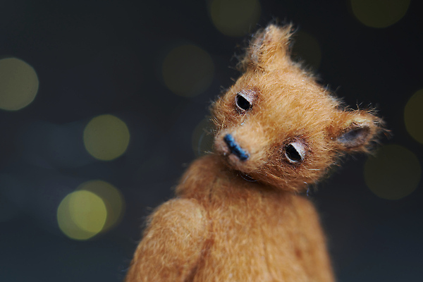 포토 JPG 해외이미지 템플릿 디자인 배너 결혼 크리스마스 겨울 패턴 벽지 추상 휴가 새해 기념 발렌타인데이 사람없음 장식 파란색 빛 컬러풀 파티 축제 곰인형 원형 고급 소프트포커스 샴페인 신비 심볼 질감 보케 마법 광 블러 카피스페이스 해외202310 해외포토 도형 계절 기념일 인형 컬러 컨셉 무늬 데이이벤트 주류 촬영기법 이벤트 공백 파일형식