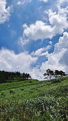 포토 JPG 해외이미지 주간 나무 식물 밭 자연 하늘 사람없음 초록색 해외202310 해외포토 자연요소 컬러 농업 생태계 파일형식