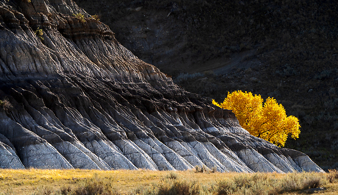 포토 JPG 해외이미지 계절 캐나다 자연 사람없음 야외 컬러풀 환경 가을 삼림지대 해외202310 해외포토 컬러 북아메리카 숲 생태계 파일형식