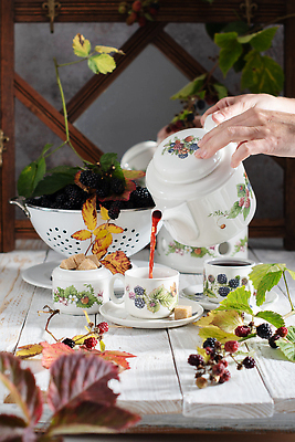 포토 JPG 해외이미지 열매 음료 음식 백그라운드 다이어트 과일 재료 자연 유리 디저트 건강 사람없음 목재 치료 컵 가로 약 정원 수확 시골 신선 뜨거움 투명 사발 달콤 아침식사 약초 허브 서비스 유기농 복고 아로마 향 블랙베리 흙더미 내추럴 백자 숙성 정물화 채식주의자 맛있는 해외202310 해외포토 나무 식물 식기 웰빙 농업 의학 재질 식사 흙 도자기 풀_식물 사기그릇 맛 그림 생태계 채식 파일형식 더미