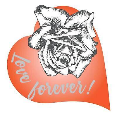 EPS 해외이미지 디자인 꽃 포스터 꽃다발 결혼 백그라운드 꽃무늬 일러스트 텍스트 잉크 발렌타인데이 사랑 타이포그라피 그래픽 장식 빨간색 장미 펜 검은색 수확 흰색 신용카드 인쇄 스케치 수집 심볼 꽃봉오리 윤곽 손그림 판화 2월 고립 슬로건 엘리먼트 힙스터 벡터 해외202310 해외일러스트 식물 문자 패션 감정 컬러 무늬 농업 데이이벤트 미술 이벤트 금융 필기구 날짜 파일형식