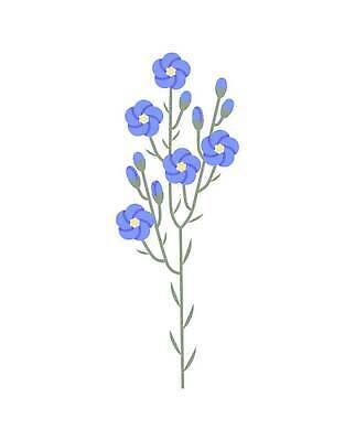 EPS 해외이미지 식물 꽃 음식 줄기 컬러 잎 꽃무늬 밭 농업 일러스트 재료 자연 그래픽 장식 여름 파란색 약 라벨 봄 들꽃 벚꽃 나뭇가지 시골 플랫 약초 만화 약국 천 허브 오브젝트 에코 유기농 섬유 내추럴 아마 엘리먼트 채식주의자 벡터 해외202310 해외일러스트 나무 웰빙 계절 산업 무늬 의학 프레임 환경 직물 풀_식물 생태계 채식 파일형식