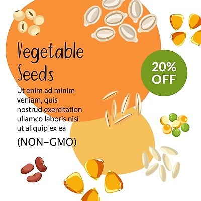 EPS 해외이미지 채소 일러스트 씨앗 사람없음 세일 주황색 유기농 해외202310 해외일러스트 식물 웰빙 컬러 파일형식 벡터