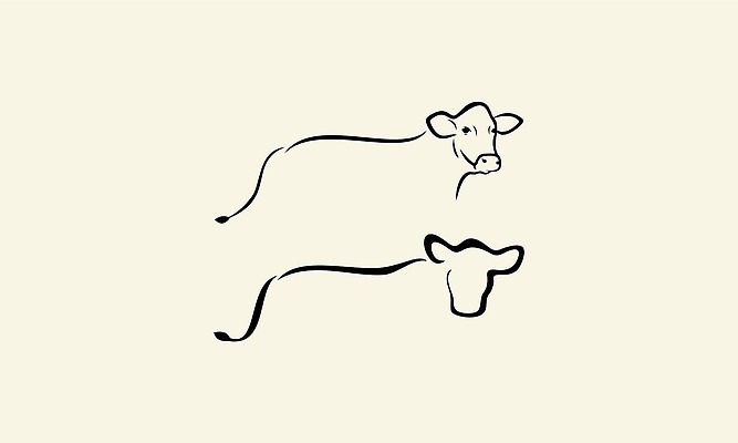 EPS 해외이미지 디자인 선 일러스트 사람없음 소 심볼 라인아트 그림 해외202310 해외일러스트 포유류 파일형식 벡터