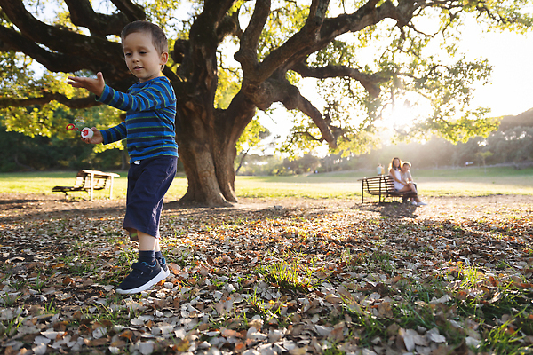 포토 JPG 해외이미지 나무 백인 라이프스타일 공원 여자 남자 행복 아들 어린이 잎 벤치 가족 자연 놀이 엄마 함께함 건강 미소 사람 소년 야외 세명 여름 뷰티 맑음 거품 기쁨 아빠 주말 비누 순간 해외202310 해외포토 서양인 식물 계절 공공시설 감정 컨셉 의자 관계 날씨 표정 생활 위생용품 생태계 파일형식