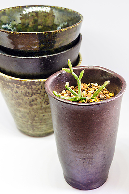 포토 JPG 해외이미지 모양 식물 화분 화초 사람없음 장식 정원 도자기 구멍 사발 냄비 컨테이너 오브젝트 원예 토기 도예가 백자 비어있는 해외202310 해외포토 직업 산업 취미 용기_그릇 사기그릇 솥 파일형식