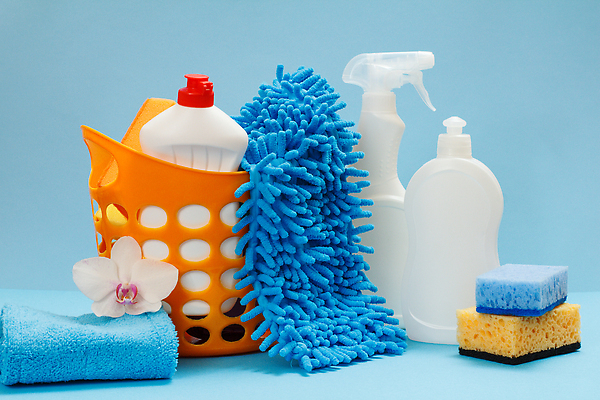 포토 JPG 해외이미지 꽃 사람없음 바구니 깨끗함 청소도구 청소 세제 오브젝트 담기 걸레 스펀지 해외202310 해외포토 식물 컨셉 모션 도구 파일형식