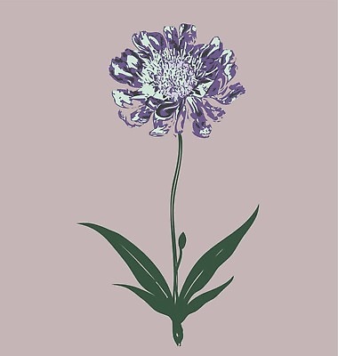 EPS 해외이미지 식물 꽃잎 꽃 백그라운드 잎 꽃무늬 일러스트 자연 해바라기 풍경 장식 정원 데이지 포도나무 뒤뜰 해외202310 해외일러스트 무늬 과일나무 생태계 파일형식 벡터