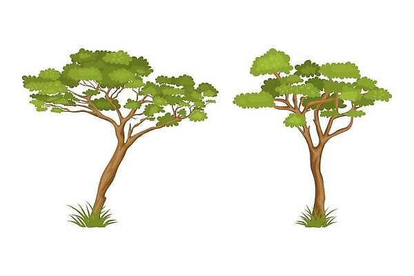 EPS 해외이미지 나무 식물 라이프스타일 디자인 계절 공원 지구 잎 꽃무늬 일러스트 자연 건강 풍경 야외 목재 그래픽 장식 초록색 여름 세트 글로벌 환경 정원 웹 봄 행성 가을 숲 수집 심볼 오브젝트 에코 유기농 내추럴 고립 바이오 생태학 벡터 해외202310 해외일러스트 웰빙 공공시설 교육 꽃 컬러 무늬 인터넷 재료 생활 우주 생태계 파일형식
