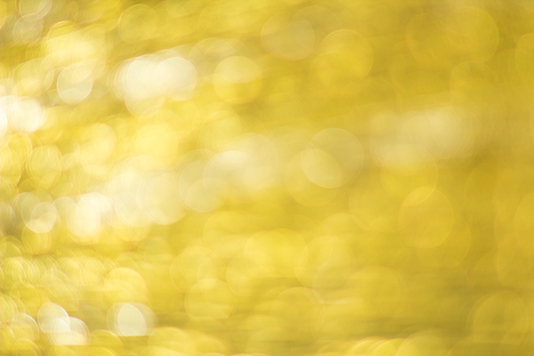 포토 JPG 해외이미지 디자인 행복 별 컬러 백그라운드 크리스마스 추상 휴가 전등 새로움 기념 미술 이벤트 사람없음 장식 빛 반짝임 갈색 노란색 파티 우주 검은색 축제 흰색 축하 원형 화려 황금 우아함 야간 소프트포커스 연도 심볼 보케 마법 블러 엘리먼트 크리스마스이브 깜빡이다 해외202310 해외포토 자연요소 도형 기념일 감정 컨셉 무늬 모션 문화예술 조명 촬영기법 파일형식