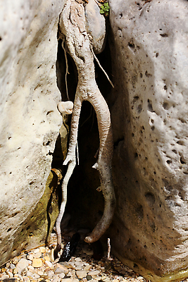 포토 JPG 해외이미지 나무 길 밧줄 여행 자연 하늘 휴가 산 국립공원 풍경 사람없음 야외 목재 초록색 물 여름 강 평화 마을 식당 골짜기 봄 트래킹 시골 신선 개울 숲 지중해 그리스 그리스인 방법 이국적 그리너리 해외202310 해외포토 자연요소 서양인 식물 계절 공원 유럽 줄 바다 컬러 컨셉 재료 레저 상점 생태계 파일형식 트랜드컬러