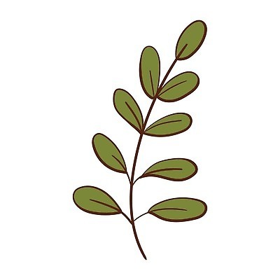 EPS 해외이미지 식물 디자인 계절 실루엣 단풍 잎 꽃무늬 일러스트 자연 미술 초록색 라벨 정원 봄 흰색 나뭇가지 낙서 9월 11월 만화 스케치 허브 심볼 그림 유기농 원예 윤곽 손그림 10월 내추럴 고립 생태학 엘리먼트 벡터 미니멀 해외202310 해외일러스트 나무 웰빙 교육 꽃 컬러 무늬 문화예술 프레임 촬영기법 취미 날짜 생태계 파일형식