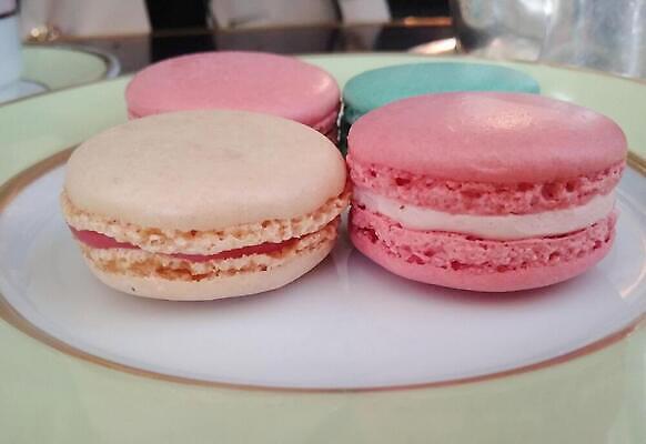 포토 JPG 해외이미지 접시 음식 분홍색 재료 디저트 요리 사람없음 케이크 보라색 달콤 마카롱 버터크림 해외202310 해외포토 식기 컬러 맛 크림 파일형식