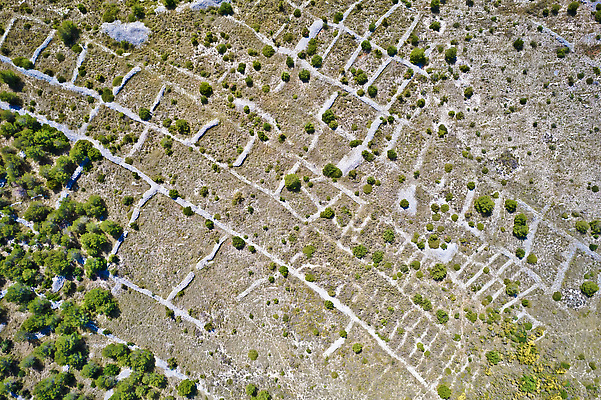 포토 JPG 해외이미지 동물 벽 바다 섬 여행 농업 자연 산 건조 파노라마 풍경 사람없음 물 여름 울타리 태양 뷰티 항구 사막 바위 시골 양 양치기 군중 언덕 폐허 암초 크로아티아 내추럴 해외202310 해외포토 자연요소 직업 계절 유럽 산업 포유류 교통시설 촬영기법 사람 담장 돌_바위 생태계 파일형식