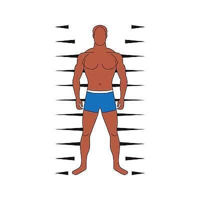 EPS 해외이미지 전신 캐릭터 1 남자 실루엣 신체 일러스트 해부 근육 건강 서기 사람 성인 파란색 숫자 큼 마네킹 만화 가득함 심볼 사인 근육질 윤곽 마차 대칭 베어링 접기 해외202310 해외일러스트 일러캐릭터 문자 교통수단 컬러 의학 모션 촬영기법 크기 몸매 파일형식 벡터