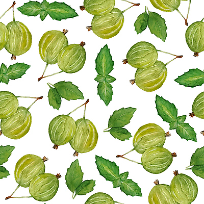 JPG 해외이미지 백그라운드 패턴 일러스트 자연 사람없음 초록색 풀잎 손그림 해외202310 해외일러스트 컬러 잎 무늬 풀_식물 생태계 파일형식